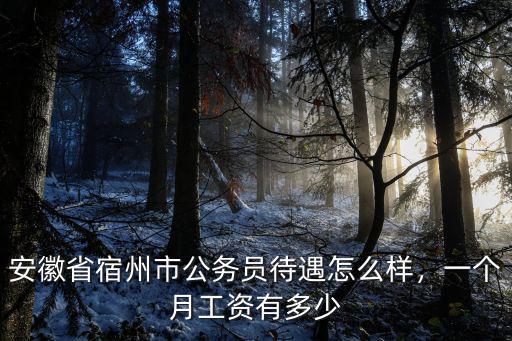 安徽省宿州市公務員待遇怎么樣，一個月工資有多少
