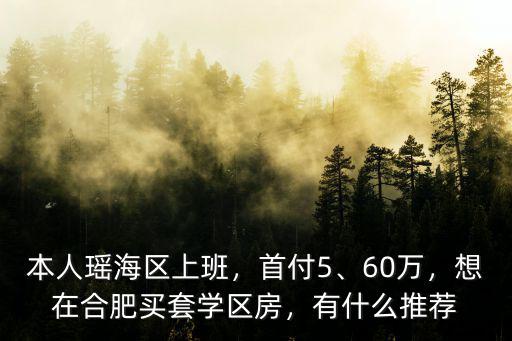 本人瑤海區上班，首付5、60萬，想在合肥買套學區房，有什么推薦