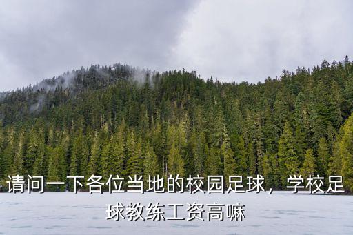 請問一下各位當地的校園足球，學校足球教練工資高嘛