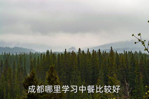 成都哪里學餐飲較好呀?,成都哪里學習中餐比較好