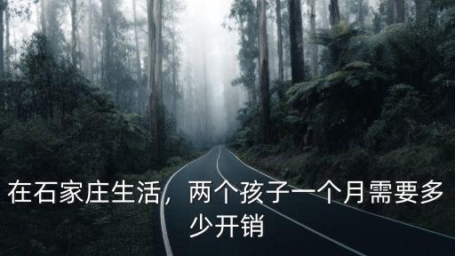 在石家莊生活，兩個孩子一個月需要多少開銷
