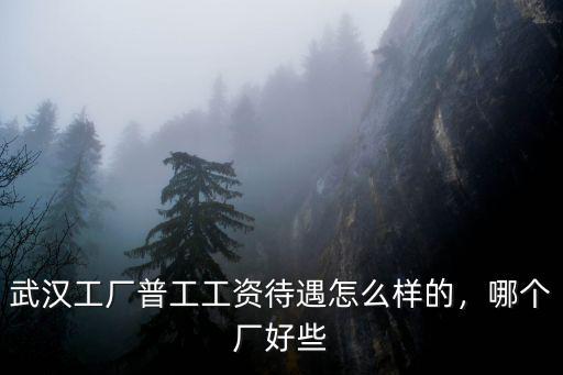 在武漢哪個公司工作不怎么累,武漢東風(fēng)公司
