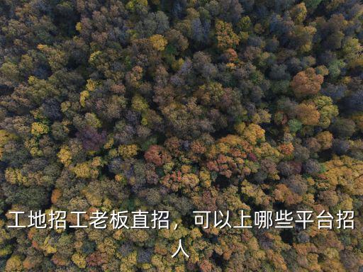 工地招工老板直招，可以上哪些平臺招人