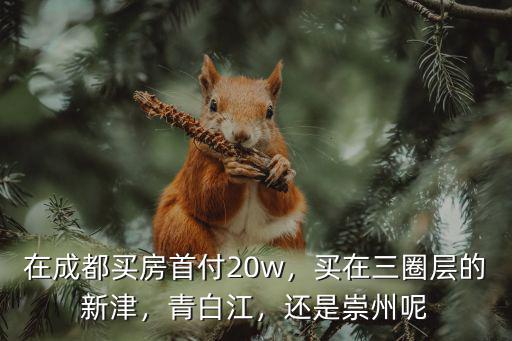 成都三圈的房子是哪里買,成都三圈房子值得買嗎