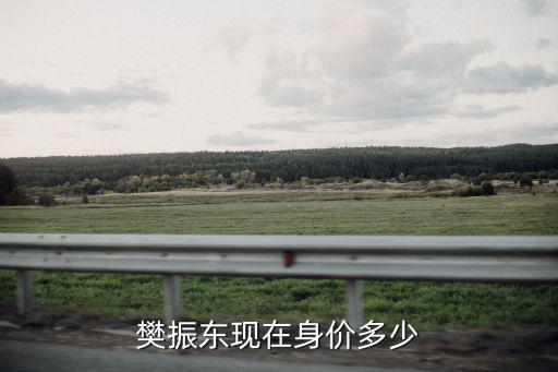 王承德身價多少,樊振東現在身價多少