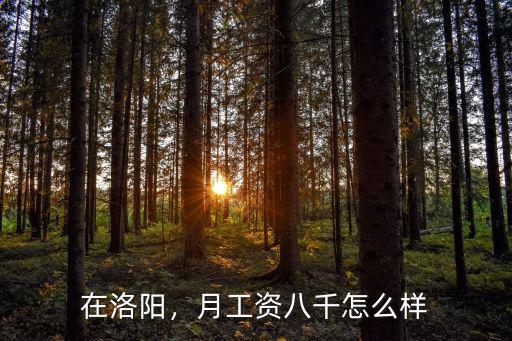 中國恩菲洛陽工資怎么樣,月工資八千怎么樣
