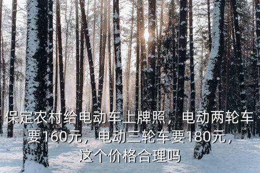 保定農(nóng)村給電動(dòng)車上牌照，電動(dòng)兩輪車要160元，電動(dòng)三輪車要180元，這個(gè)價(jià)格合理嗎