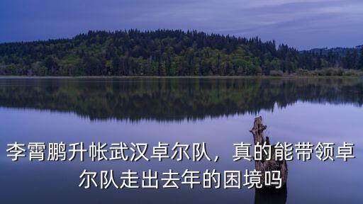 武漢卓爾隊怎么了,李霄鵬升帳武漢卓爾隊