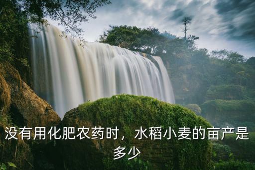 沒有用化肥農(nóng)藥時，水稻小麥的畝產(chǎn)是多少