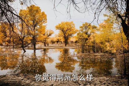 荊州安家岔大橋怎么樣,你覺得荊州怎么樣