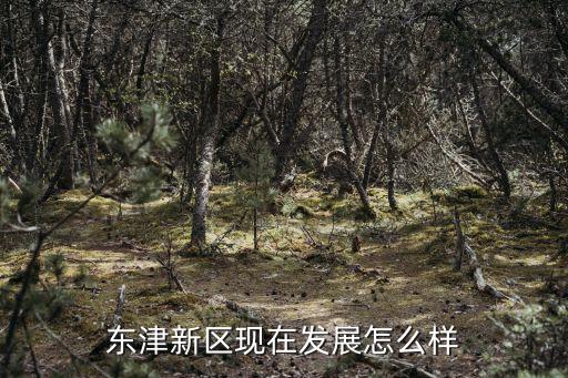 東津新區(qū)現(xiàn)在發(fā)展怎么樣