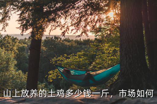 山上放養(yǎng)的土雞多少錢一斤，市場如何