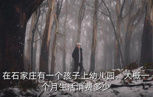 在石家莊有一個孩子上幼兒園，大概一個月生活消費多少