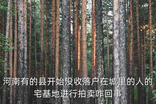 河南有的縣開始沒收落戶在城里的人的宅基地進行拍賣咋回事
