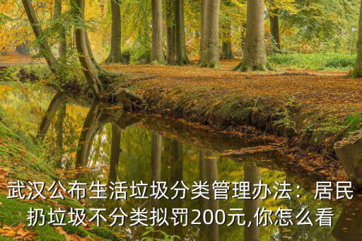 武漢垃圾分類怎么分,武漢7月1日實(shí)行垃圾分類