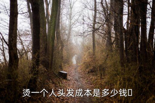 燙一個人頭發成本是多少錢?
