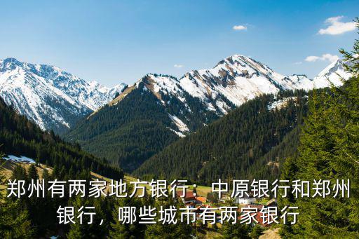 鄭州銀行在鄭州有多少家,鄭州有兩家地方銀行