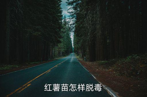 蕪湖脫毒高產紅薯苗多少錢,紅薯苗怎樣脫毒