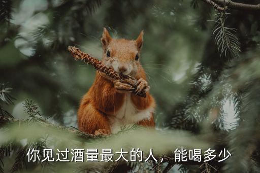 亳州人的酒量是多少,一個人的酒量上限是多少