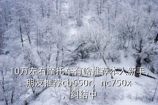 10萬左右摩托車有啥推薦本人新手，朋友推薦cb650r，nc750x，糾結中