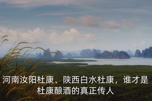 河南汝陽杜康、陜西白水杜康，誰才是杜康釀酒的真正傳人