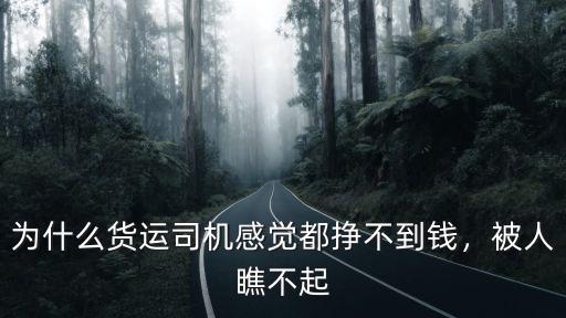 為什么貨運(yùn)司機(jī)感覺都掙不到錢，被人瞧不起