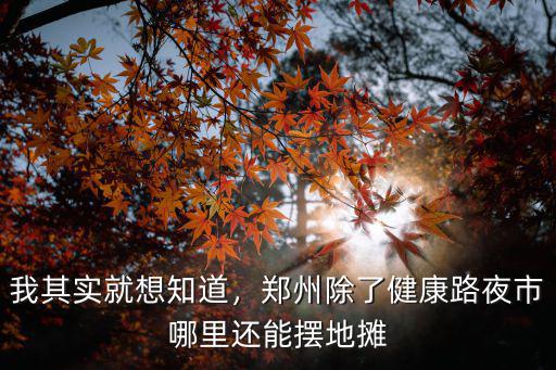 我其實就想知道，鄭州除了健康路夜市哪里還能擺地攤