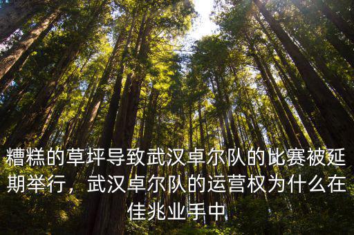 糟糕的草坪導致武漢卓爾隊的比賽被延期舉行，武漢卓爾隊的運營權為什么在佳兆業手中