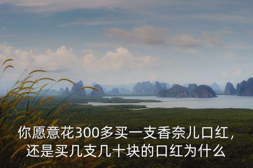 你愿意花300多買一支香奈兒口紅，還是買幾支幾十塊的口紅為什么