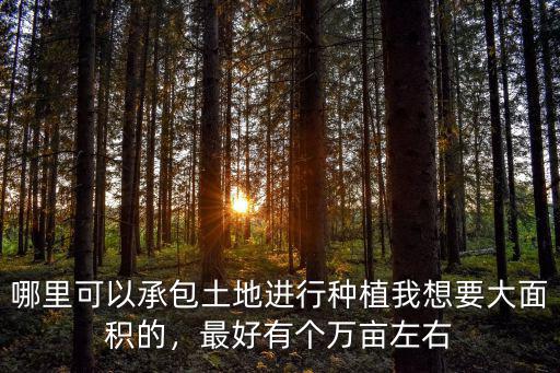 哪里可以承包土地進行種植我想要大面積的，最好有個萬畝左右