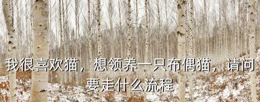 我很喜歡貓，想領(lǐng)養(yǎng)一只布偶貓，請問要走什么流程