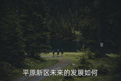 平原新區未來的發展如何