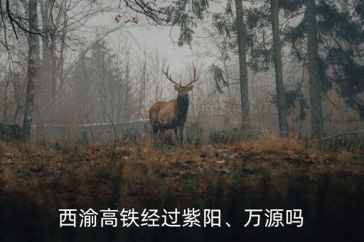西渝高鐵途經(jīng)廣安哪里,西渝高鐵經(jīng)過(guò)紫陽(yáng)