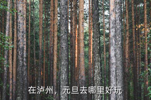 在瀘州，元旦去哪里好玩