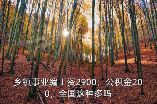 鄉鎮事業編工資2900，公積金200，全國這種多嗎