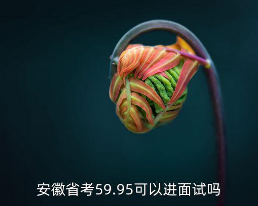 安徽省考59.95可以進面試嗎