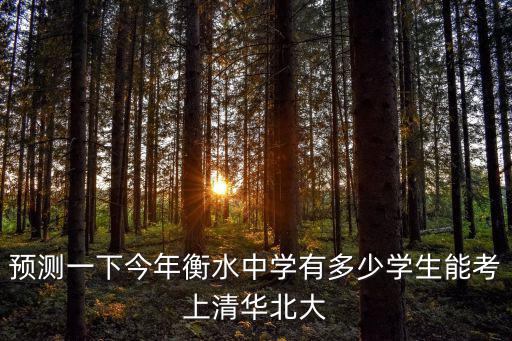 衡水今年考上多少個清華北大,衡中考上清華北大多少名