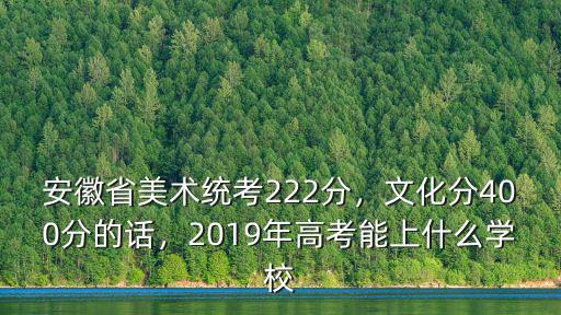 安徽省美術(shù)統(tǒng)考222分，文化分400分的話，2019年高考能上什么學(xué)校