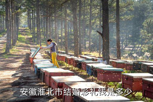 安徽淮北市結(jié)婚彩禮錢是多少