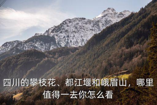 四川的攀枝花、都江堰和峨眉山，哪里值得一去你怎么看