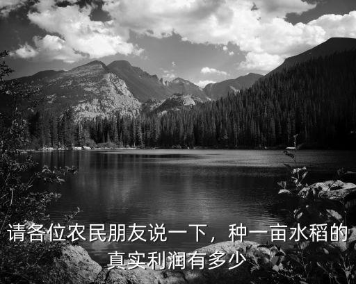 請各位農民朋友說一下，種一畝水稻的真實利潤有多少