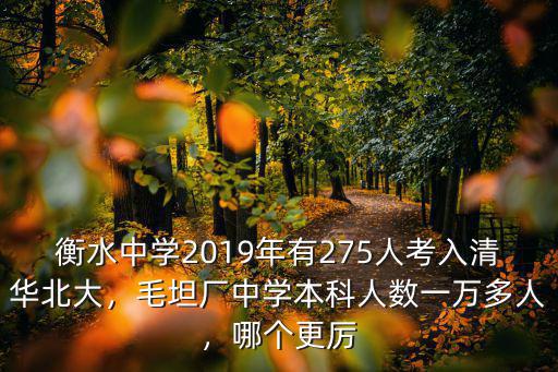 衡水智衡中學(xué)去年考上本科多少人,毛坦廠中學(xué)本科人數(shù)一萬(wàn)多人
