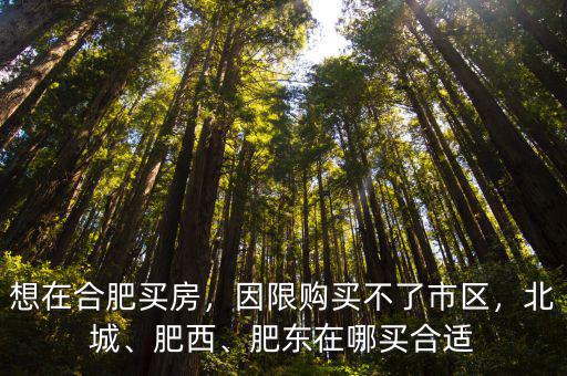 合肥肥西到肥東多少公里,合肥哪里最窮