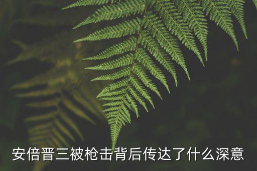 安倍晉三去成都哪里參訪了,那安倍晉三去哪兒了