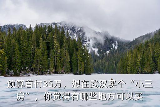 武漢小三房怎么樣,想在武漢買個小三房