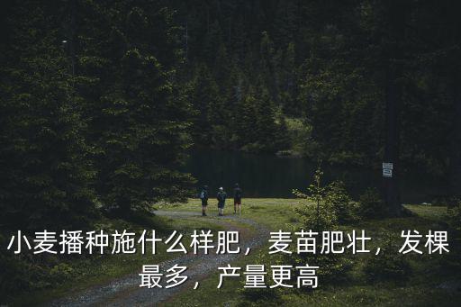 河南冬小麥播種一畝地施多少肥,又開始播種冬小麥了