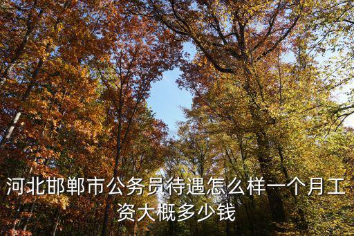 河北公務員第一年工資多少錢,一個月工資大概多少錢