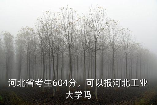 河北省考生604分，可以報河北工業大學嗎