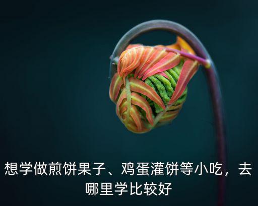 想學(xué)做煎餅果子、雞蛋灌餅等小吃，去哪里學(xué)比較好