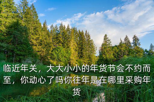 資陽年貨節在哪里,你往年是在哪里采購年貨
